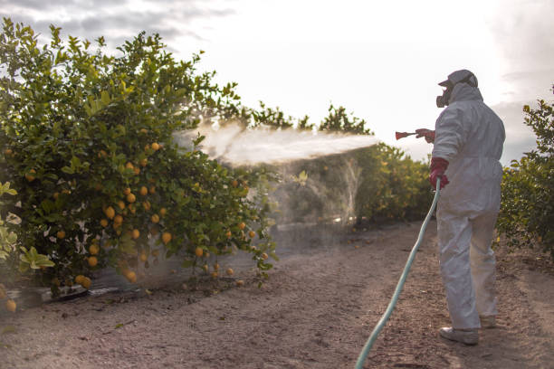 Best Ant Control Services  in Strawberry Point, IA