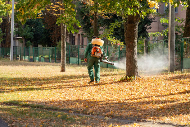 Best Cockroach Control Services  in Strawberry Point, IA