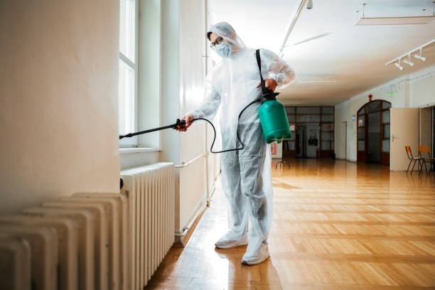 Best Pest Control Treatment  in Strawberry Point, IA